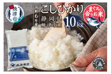 a38-008　令和6年産　マグロによく合うお米 コシヒカリ 白米10kg（5kg×2袋）