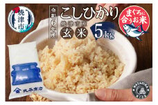 a19-052　令和6年産　マグロによく合うお米 コシヒカリ 玄米 5kg