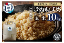 a50-148　令和6年産　農薬7割減 特別栽培 きぬむすめ 玄米 10kg（5kg×2袋）