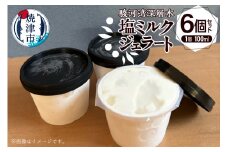 a10-1131　駿河湾深層水塩ミルクジェラート 100ml×6個セット