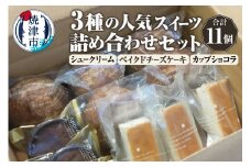 a10-1142　人気スイーツ詰め合わせセット 3種 11個