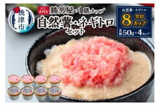 a12-224　だし専門店「勝男屋」の一膳とろトロ 自然薯・ネギトロセット