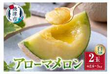 a32-026　メロン 温室 アローマ 果物 ハウス 白等級 2玉 GABA