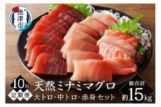 b500-015　【定期便10回】キボシ水産 天然 鮪 南鮪 大トロ 中トロ 赤身食べ比べセット 約1.5kg×10回(定期便) 柵 切り落とし 刺身 海鮮丼 皮なし