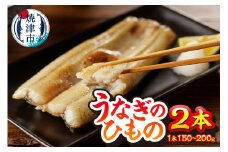 a15-647　珍しい「ウナギのひもの」【静岡産】