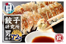 a11-146　餃子研究所　男餃子×6パック