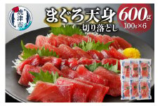 a10-922202509　【2025年9月お届け】まぐろ天身（筋少なめ）切り落とし（100g×6パック）