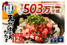 a10-598202509　【2025年9月お届け】天然 まぐろ ネギトロ (80g×12パック) まぐろ 鮪 マグロ ネギトロ ねぎとろ 小分け 冷凍 焼津