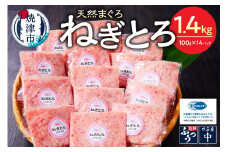 a12-150202510　【2025年10月発送】焼津 マグロ ねぎとろ セット S4 まぐろ 鮪 マグロ ネギトロ ねぎとろ 小分け 冷凍 焼津