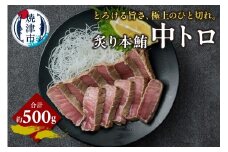 a12-258　炙り 本鮪 中トロ 約500g