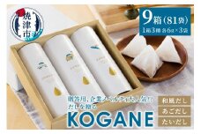 a30-306　だしを贈る　KOGANE-C11×9個