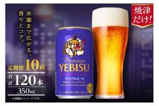 T0107-1010　【定期便】エビス プレミアムエール 350ml×12本　10回