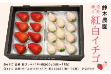 静岡県産いちご　赤&白イチゴ　食べ比べ2パック【1127878】