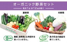 ＜毎月定期便＞有機野菜　Lセット　オーガニック 野菜セット　有機JAS認証　しあわせ野菜畑　全12回【4013497】