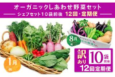 ＜毎月定期便＞＜フードロス対応・規格外野菜利用＞　有機野菜　シェフMセット　オーガニック野菜全12回【4013501】