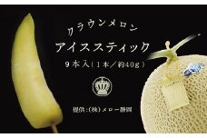 冷凍メロンスティック×9本【1105468】