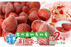 掛川産『ミズノ農園の完熟冷凍紅ほっぺ』500g×4袋【1234934】