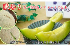 静岡県産＜訳あり＞アローマメロン1玉　1.4kg以上【1347996】