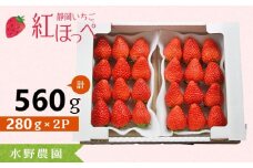 ≪冷蔵便≫静岡県掛川市産　ミズノ農園の完熟いちご　『紅ほっぺ』約280g×2パック【1099566】