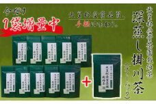 ＜期間限定＞天皇杯受賞茶園栽培茶　深蒸し掛川茶ティーバッグ(5g×10個)×10袋+1袋　計110個【1399773】