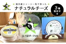 うしづまチーズ工場　ナチュラルチーズ3種セット【1601780】