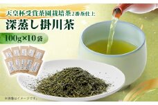 天皇杯受賞茶園栽培茶2番茶仕上　深蒸し掛川茶100g×10袋【1303841】