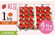 掛川産いちご「紅ほっぺ」約1kg(500g×2パック/12～15粒入)【1127621】