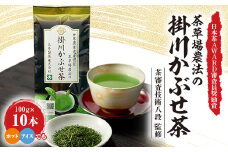 日本茶AWARD審査員奨励賞! 世界農業遺産認定　茶草場農法の掛川かぶせ茶【1277565】
