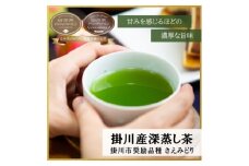 新茶 掛川市奨励品種さえみどり50g×2本 日本茶AWARD受賞茶園のお茶 静岡県掛川市 茶農家直送【1601537】