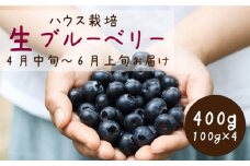 2026年発送＜ハウス栽培＞季節限定の国産『生ブルーベリー』太陽の恵みを沢山浴び新鮮で大粒。【1374926】