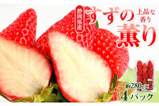 静岡県掛川市産　ミズノ農園の完熟いちご「すずの薫り」　約280g×4パック【1490919】