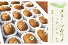5885　掛川産グリーンキウイ「ヘイワード」18～20個(ギフト箱入り)【1603138】