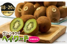 5885　掛川産グリーンキウイ「ヘイワード」18～20個(ギフト箱入り)【1603138】