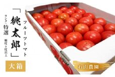 ＜特選＞トマト 美味しんぼに登場したトマト「桃太郎」大箱 28玉～42玉　ランク:特選　糖度9度以上【1604235】