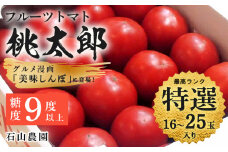 ＜特選＞トマト 美味しんぼに登場したトマト「桃太郎」16～25玉 ランク:特選　糖度9度以上【1604229】