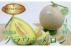 高級クラウンマスクメロン白級　1.3kg以上×1玉入り【1597049】