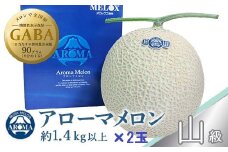 静岡県産　高級アローマメロン　山級 約1.4kg× 2玉【1133012】