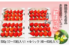 ＜1月下旬より順次発送予定＞静岡県産　紅ほっぺいちご　4トレイ　48粒～60粒【1253007】