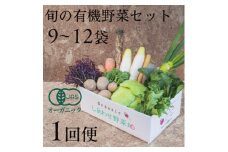 しあわせ野菜畑の有機野菜　Lセット　(安心の有機JAS認証　旬のオーガニック野菜　農場直送便)【1493216】