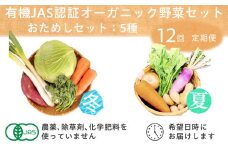 ＜毎月定期便＞有機 野菜　おためしセット　オーガニック野菜　有機JAS　しあわせ野菜畑全12回【4013500】