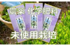 自然栽培茶(化学肥料・農薬未使用)深蒸し掛川茶100g×3袋【1091798】