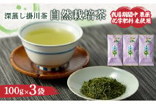自然栽培茶(化学肥料・農薬未使用)深蒸し掛川茶100g×3袋【1091798】