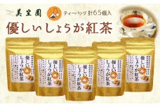 優しいしょうが紅茶「ジンジャーティー」(紅茶、生姜、共に掛川産)ティーバッグ2g×13入り×5袋【1365356】
