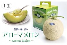 ＜通年出荷＞アローマメロン(白等級) 1玉入【1170106】