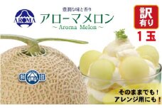 ＜訳あり＞アローマメロン 1玉入＜通年出荷＞【1170117】