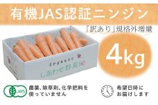 ＜フードロス対応・規格外＞有機ニンジン  訳あり   冬季限定(12～3月発送)【1568583】
