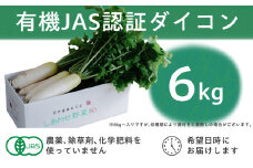 有機大根　有機JAS認証　煮物やおでんに最適　冬の味覚(12～3月発送)【1568580】