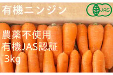 有機ニンジン　栽培期間中農薬不使用　有機JAS認証　冬季限定(12～3月発送)【1568578】