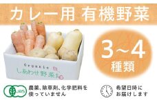 有機野菜でカレーを作ろう　カレーに使える有機野菜を3～4種類　定番野菜だからなんにでも使えます。【1568592】