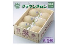 ＜通年出荷＞クラウンメロン(山等級)　6玉詰【1104739】